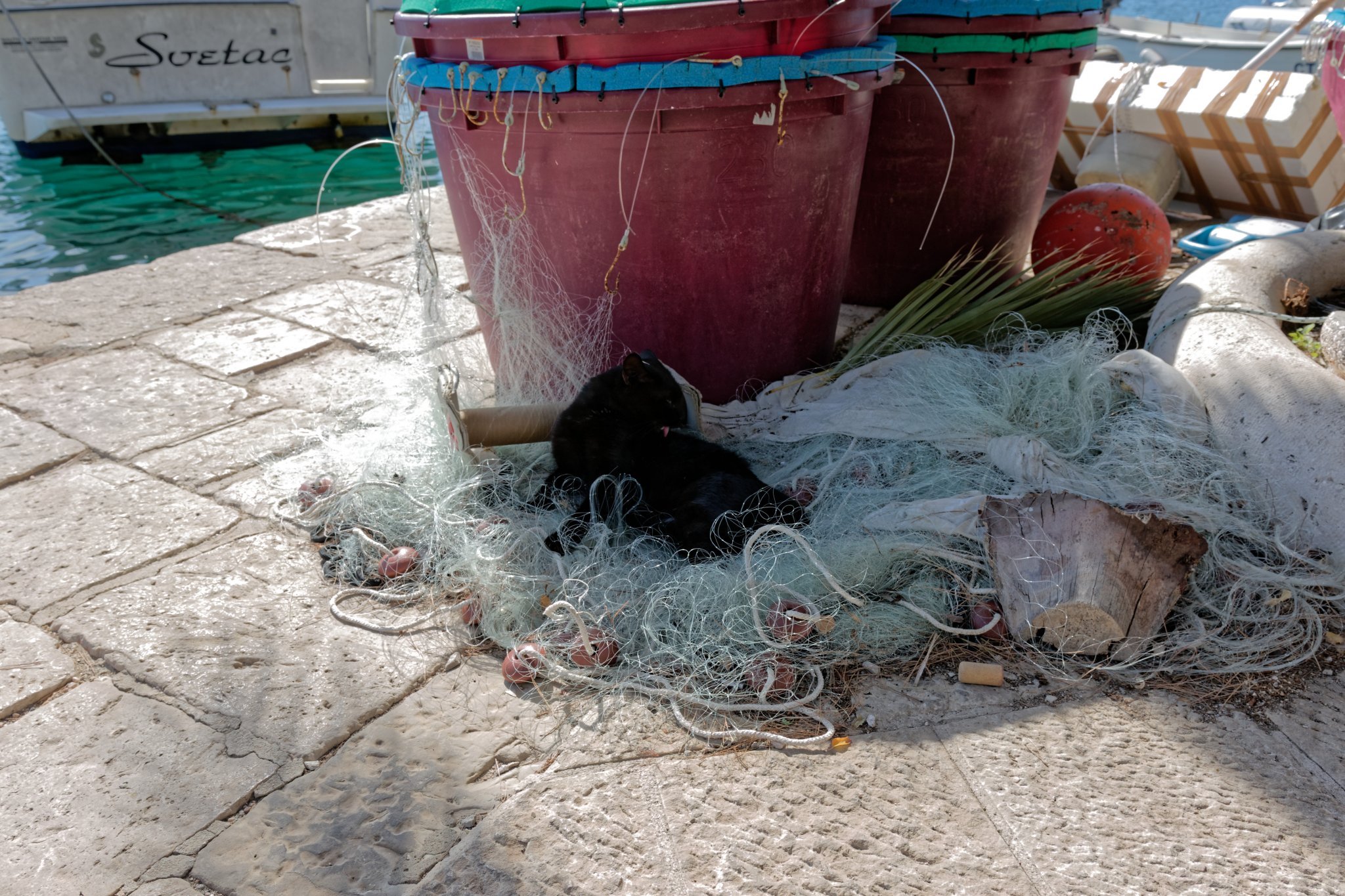 1G5A6983_DxO